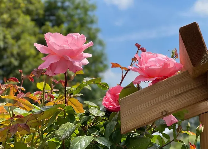 Hotel Kyriad Cambrai